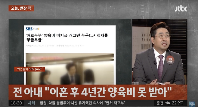 애로부부 임성훈 관련 보도. [JTBC 사건반장 캡처]