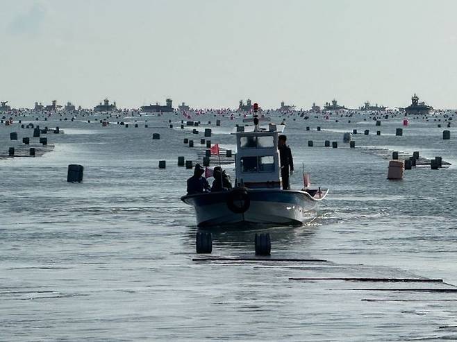 [고흥=뉴시스] 전남 고흥군 해상에서 민관합동 불법 김양식 시설물 강제철거가 이뤄지고 있다. (사진=고흥군 제공) 2025.02.11. photo@newsis.com  *재판매 및 DB 금지