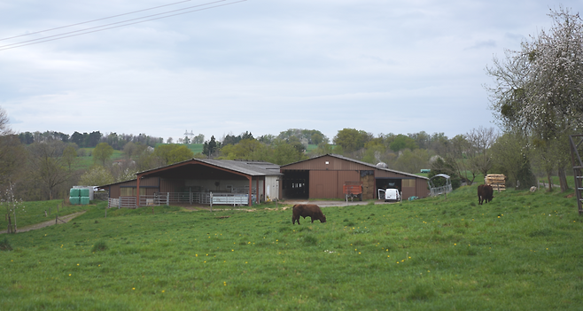 프랑스 캉탈 지역의 무르 마을에 있는 ‘가엑 데 프레리’ 농장 모습. 진정은씨 제공.