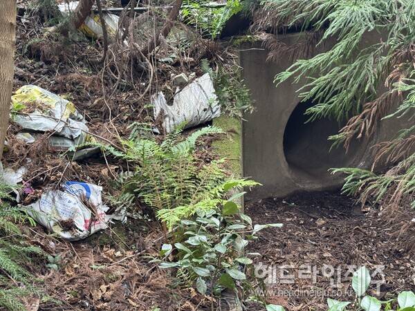구좌읍 덕천리 곶자왈 지역에 버려져 있는 생활폐기물. (사진=곶자왈사람들)