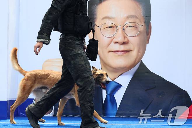 13일 대구 중구 동성로 광장에서 이재명 더불어민주당 대통령 후보의 집중유세 시작 전 경찰 특공대와 폭발물 탐지견이 수색을 하고 있다. (공동취재) 2025.5.13/뉴스1 ⓒ News1 안은나 기자
