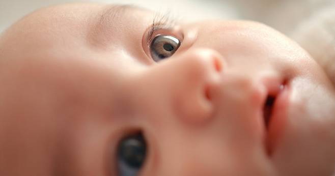 게티이미지뱅크.