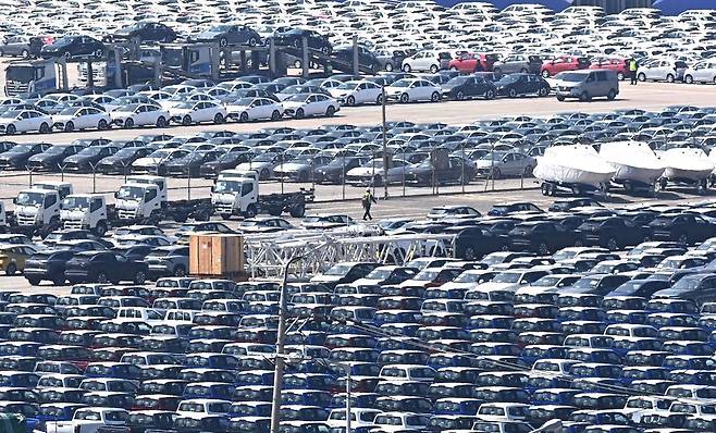 29일 경기 평택항 자동차 전용부두에 선적을 기다리는 수출용 차량이 세워져 있다. 2025.04.29. [평택=뉴시스]