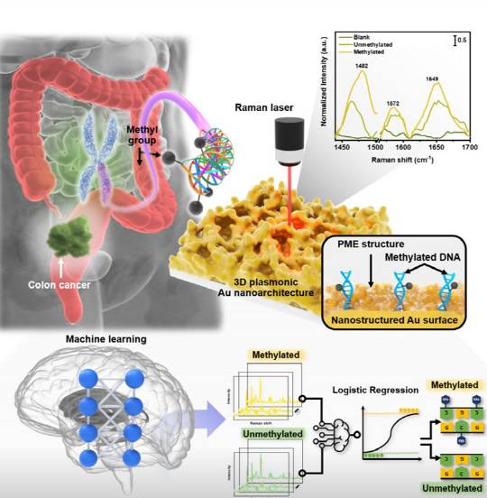 혈액 내 극미량 암 DNA 고감도 검출 및 AI 기반 분석법 이미지. 재료연 제공