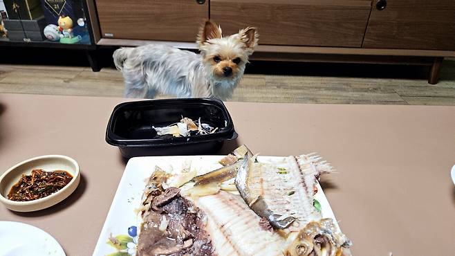 20250512_214405.jpg 저녁 병어찜에 한잔