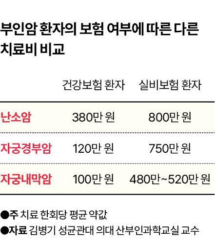 그래픽=신동준 기자