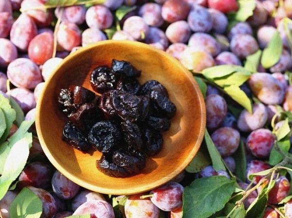 < 사진 제공 : 캘리포니아 푸룬 협회 >