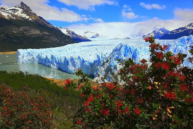 아르헨티나 칼라파테 모레노 빙하 / 사진=롯데관광개발