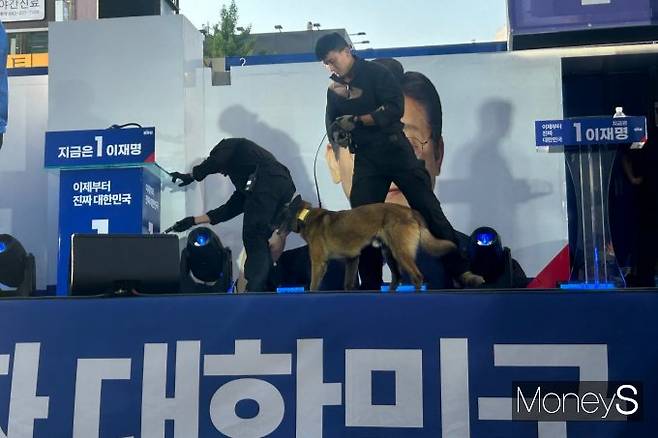 이재명 후보가 유세장에 모습을 드러내자 동성로를 가득 메운 지지자들의 환호성이 울려 퍼졌다. 사진은 13일 대구 유세 현장에서 폭발물 탐지견이 투입된 모습.  /사진=김성아 기자