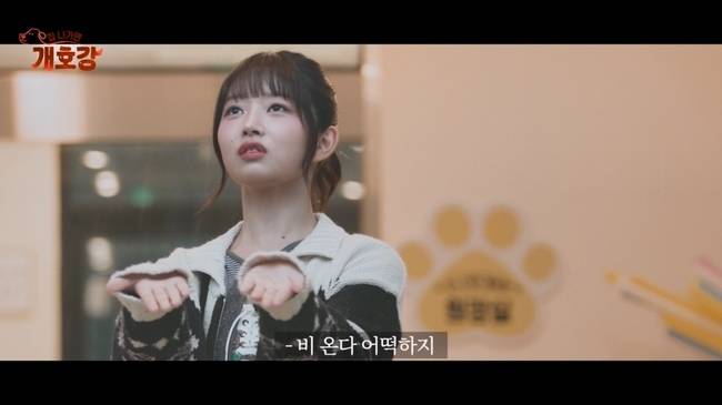 사진=JTBC ‘집 나가면 개호강’