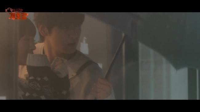 사진=JTBC ‘집 나가면 개호강’