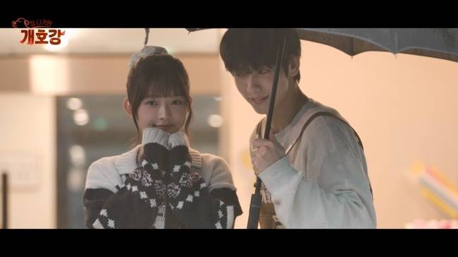 사진=JTBC ‘집 나가면 개호강’