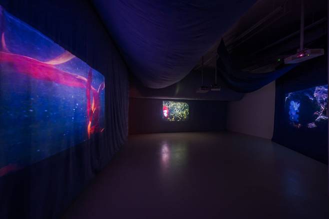 울라 폰 브란덴부르크_물 아래 그림자, 전시 전경, 2025, 바라캇 컨템포러리 *재판매 및 DB 금지