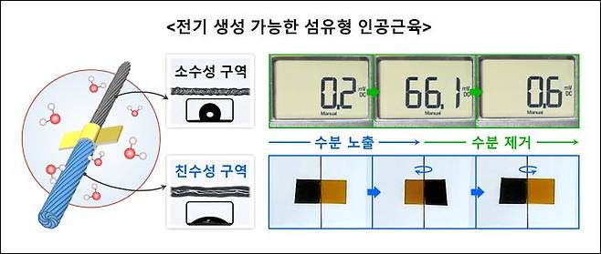 비대칭 구조 기반 전기 생성이 가능한 섬유형 인공근육 모식도. (사진=한양대 제공) *재판매 및 DB 금지