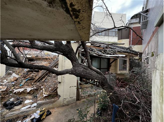 부산시가 동구 수정동에 있는 빈집. 부산시 제공