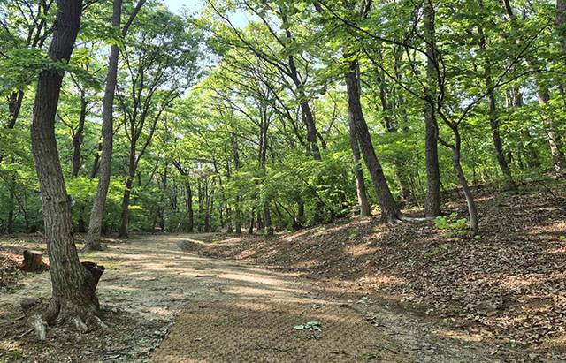 구리 동구릉 휘릉~원릉 숲길. 국가유산청