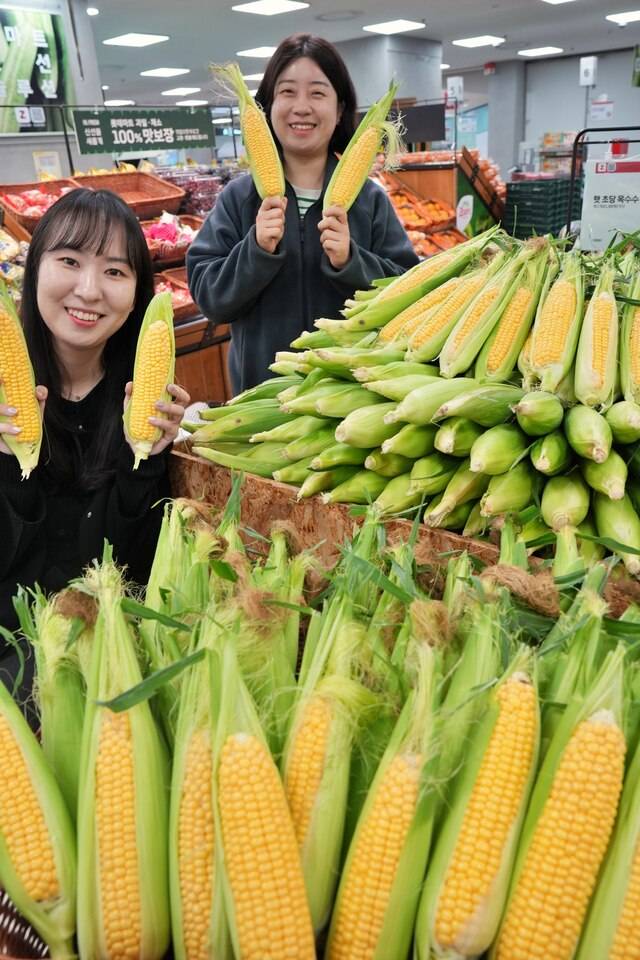 정혜원(왼쪽부터)·이동은 롯데마트 상품기획자(MD)가 롯데마트 제타플렉스 서울 잠실점에서 초당옥수수를 들어보이고 있다. 롯데마트