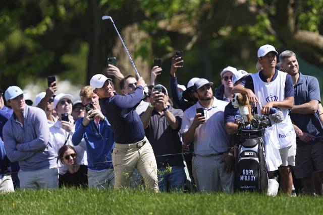 트루이스트 챔피언십 7번 홀에서 트러블 샷을 하는 로리 매킬로이. AP연합뉴스