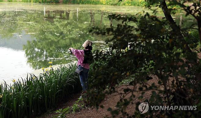 신록의 계절 (밀양=연합뉴스) 김동민 기자 = 13일 오후 경남 밀양시 부북면 위양지(위양못)를 찾은 시민이 사진을 촬영하고 있다. 2025.5.13 image@yna.co.kr