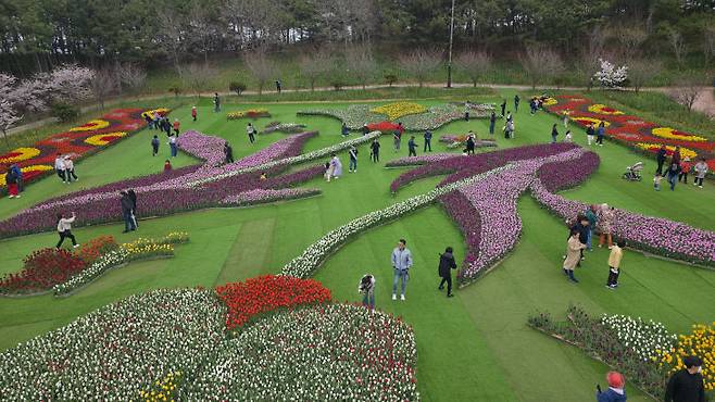 태안 튤립 꽃 박람회 현장 모습. 사진=이희택 기자.