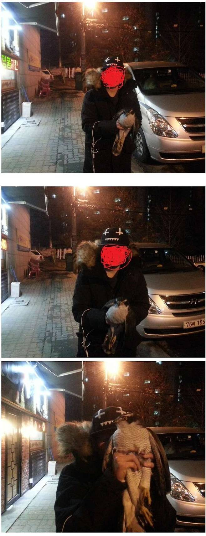 undefined - Imgur (1).jpg 길가다 부엉이를 주운 디시인 길가다 부엉이를 주운 디시인 길가다 부엉이를 주운 디시인