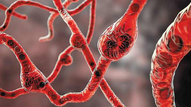 /클립아트코리아