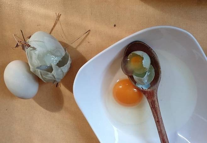 2020년 제주에서 나온 달걀 속 달걀. 연합뉴스(독자 제공)
