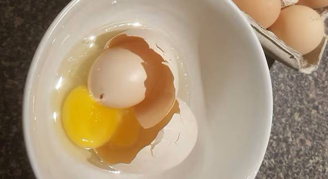 캐나다 브리티시컬럼비아에서 발견된 달걀 속 달걀. CBC 사이트 캡처