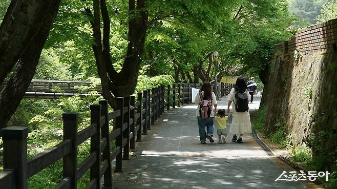 봉화 오전약수관광지의 계곡 산책길. 오전약수관광지는 외씨버선길 중 제 10길(약수탕길) 코스의 한 곳이자 동서트레일 47구간 거점마을이다             봉화｜김재범 기자 oldfield@donga.com