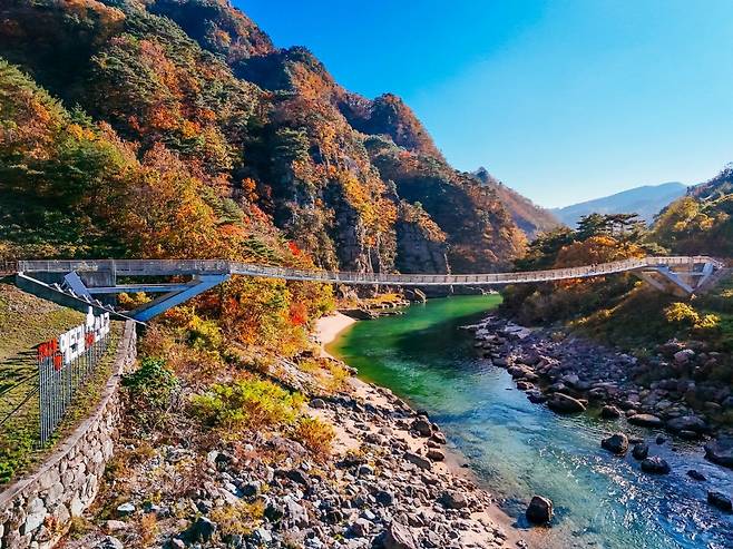 예던길의 명물 선유교. 예던길은 퇴계 이황은 10대 시절 숙부에게 글을 배우기 위해 집과 청량산을 오갔던 길이다  사진제공 ｜봉화군