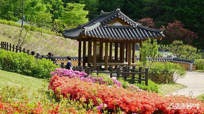 봉화 정자문화생활관의 야외정원. 봉화의 청암정 석천정자를 비롯한 전국의 대표 정자를 그대로 재현해 배치했다    봉화｜김재범 기자 oldfield@donga.com