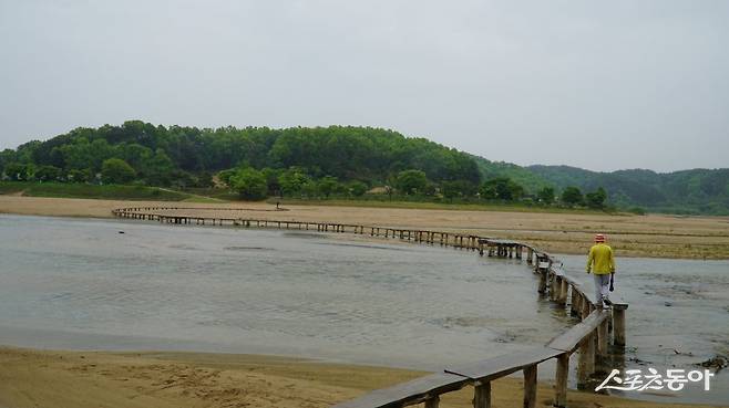 영주 무섬마을을 상징하는 좁은 나무다리. ‘물위에 떠 있는 섬’이라는 뜻의 문수면 수도리 무섬마을은 낙동강 지류인 내성천이 마을을 감아 도는 물돌이동의 대표적인 명소이다            영주｜김재범 기자 oldfield@donga.com