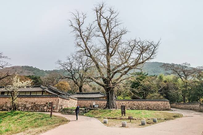 녹우당[사진/백승렬 기자]