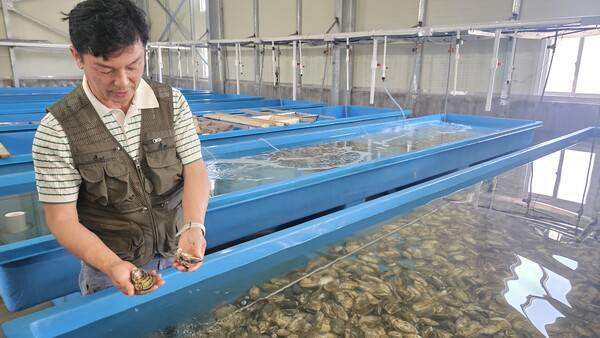 엄성 라온팜 대표가 개체굴을 보여주고 있다. /정봉화 기자