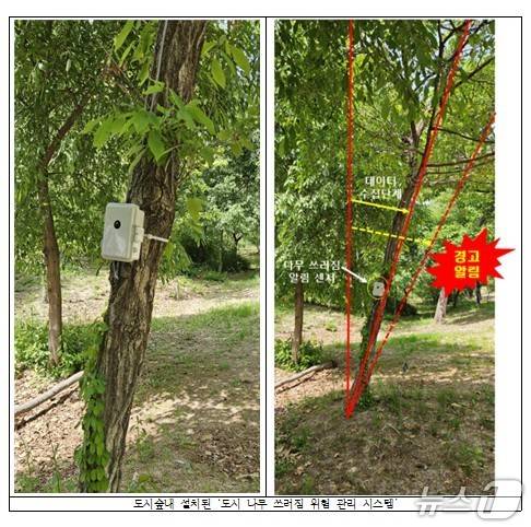 (산림청 국립산림과학원 제공.재판매 및 DB금지)/뉴스1