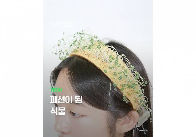 씨앗이 박힌 옷 제작 과정. 갈조류에서 추출한 성분 등을 씨앗과 같이 섞어서 길게 늘어뜨린 후 건조시킨다. 바늘로 꿰메거나 직조기를 사용해서 의류를 만든다. &nbsp;코넬대 제공