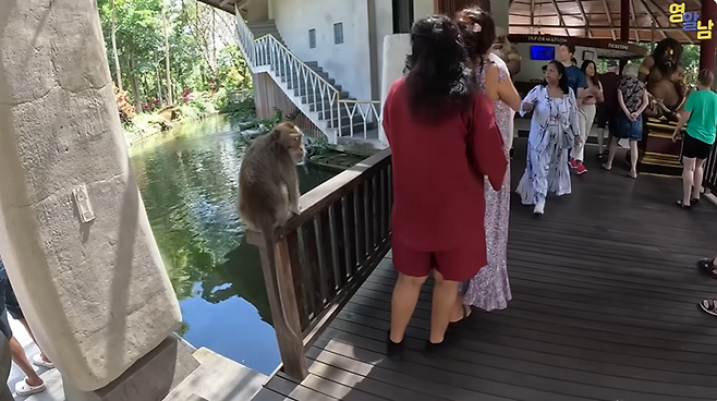 요즘 발리 여행 근황...jpg