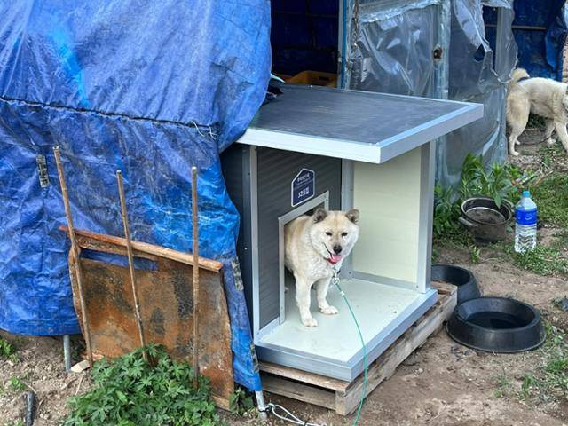 동물보호단체들이 경북 안동시 산불 피해를 입은 주민들의 반려견을 위해 새 집 등 물품과 양육 정보를 제공했다. 동물보호단체 라이프 제공