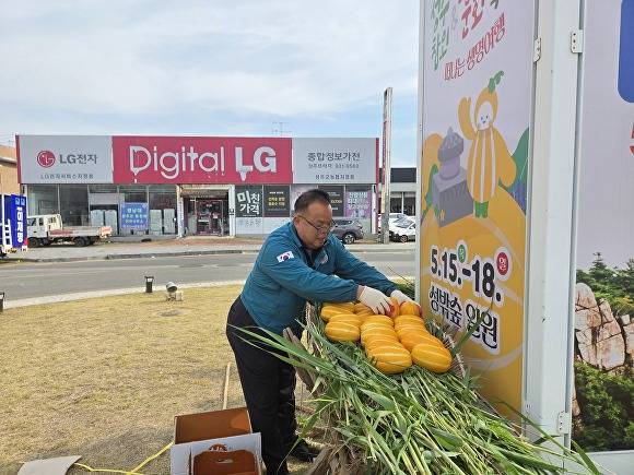 배해석 성주읍장이 조형물 설치를 완료하고 있다 [사진=성주군]