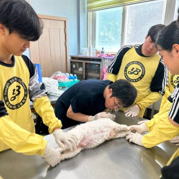 레저동물과. 용인바이오고 제공