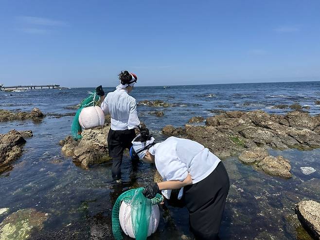 해녀 체험을 즐기는 여행객들.  /사진= 강예신 기자