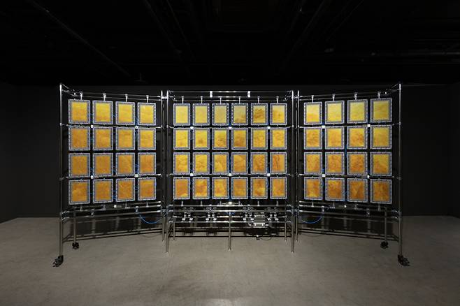 백정기 ‘is of 속리산 2024-4’(2025). 뒤쪽의 진공 펌프가 연결 호스를 통해 주기적으로 액자 안쪽의 공기를 빼내 작품의 산소 접촉을 막는다. 아라리오뮤지엄