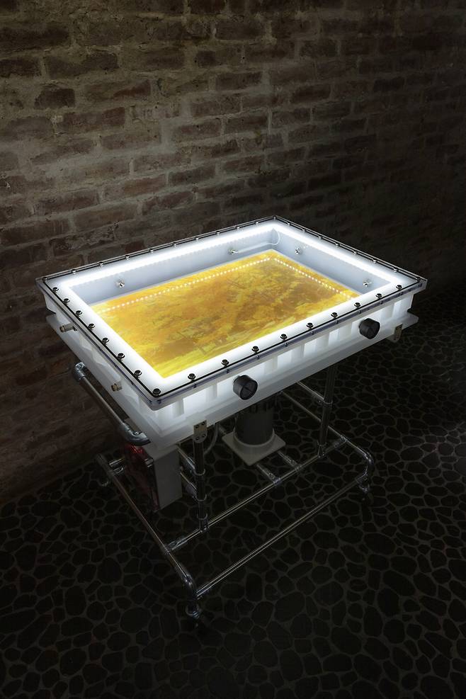 ‘is of 내장산 2024-5’(2025). 액자 아래 질소 주입기가 장착돼 있어 액자 안쪽으로 유입되는 산소를 밀어낸다. 아라리오뮤지엄