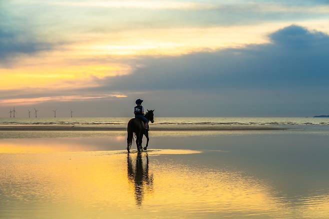 고창 해변 승마