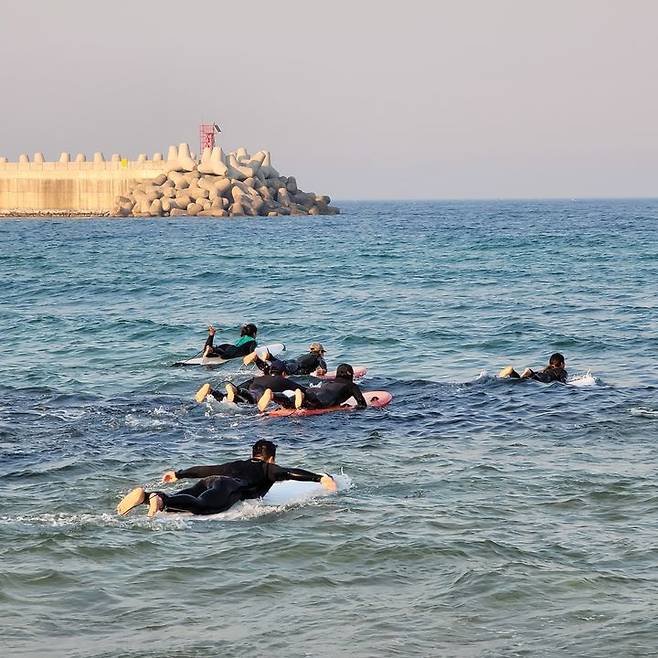 [양양=뉴시스] 지난해 서핑 인증교육 모습. (사진=양양군 제공) 2025.05.15. photo@newsis.com *재판매 및 DB 금지