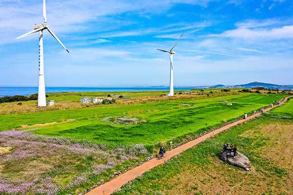 풍력발전기가 서 있는 가파도 풍광. 갯무꽃과 청보리가 자라는 길 따라 관광객의 발길이 여유롭다.