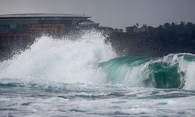 지난 2024년 8월 20일, 제9호 태풍 '종다리'(Jongdari)의 영향으로 제주 서귀포시 예래동 앞바다에 거친 파도가 밀려오고 있다. 뉴시스
