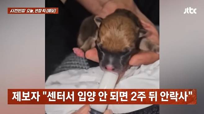 (JTBC '사건반장' 갈무리)