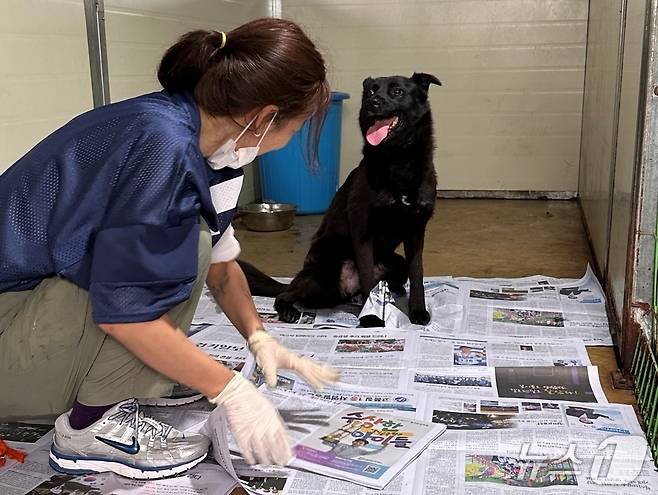보호소 봉사 중인 이효리(내추럴발란스 제공) ⓒ 뉴스1
