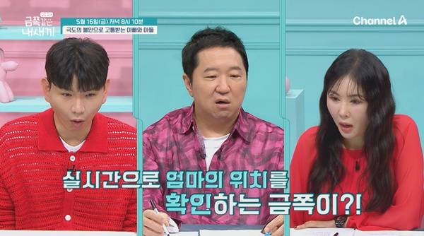 ⓒ채널A '요즘 육아 - 금쪽같은 내새끼'